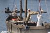 Дружный экипаж куренаса «Русна» доставляет на берег традиционные бочонки с соленой селедкой.