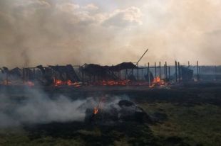 Жуткое происшествие под Киевом