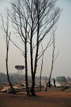 Последствия пожара в дачном кооперативе «Полянка» в окрестностях микрорайона Добротный села Смоленка в Забайкальском крае.