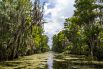 В американском штате Луизиана, рядом с городом Новый Орлеан, находятся непроходимые болота Манчак, известные так же как «Болота призраков». Согласно легендам, это место было проклято черной ведьмой Вуду, когда XX веке ее взяли в плен в этих местах. Посреди болот стоят многовековые деревья с раскидистыми сучьями, порой спускающимися до самой воды, в то время как из воды торчат корни деревьев, выползающих словно змеи. В прошлом на болоте сгинула не одна сотня людей, но их трупы до сих продолжают всплывать, хотя прошло уже больше 100 лет.