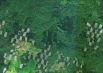 Снимок со спутника SPOT-6, дата 12.09.2013. Пространственное разрешение 1,6 м/пиксел, синтез в натуральных цветах. Разновозрастные рубки на территории Гайнского лесничества.