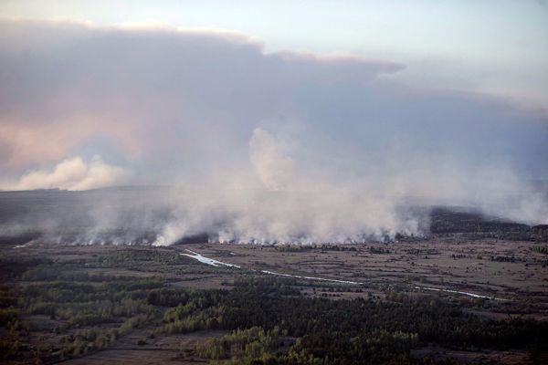 По данным Государственного агентства Украины по управлению зоной отчуждения горело примерно 2 тыс. га.