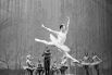  Специально для Плисецкой кубинский балетмейстер Альберто Алонсо поставил балет «Кармен-сюита». Другими хореографами, ставившими для неё хореографические партии, были Юрий Григорович, Ролан Пёти, Морис Бежар.
