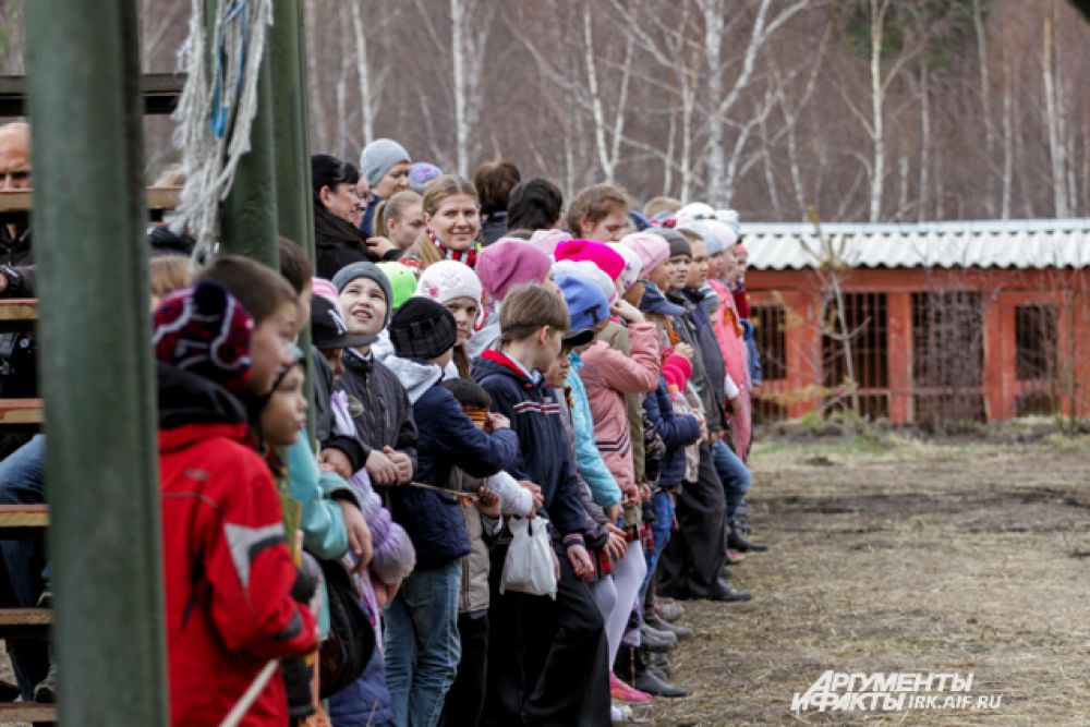 В питомнике К-9 настоящую военную реконструкцию представили школьникам.