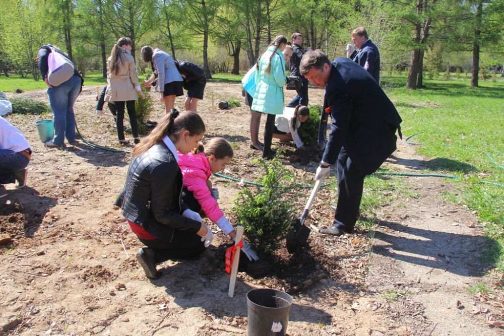 Генеральный директор «АиФ-НН» Александр Вахромеев сажает дерево вместе с ученицами школы №126