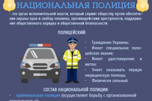 Полиция