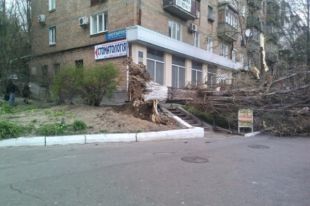 Штормовой ветер