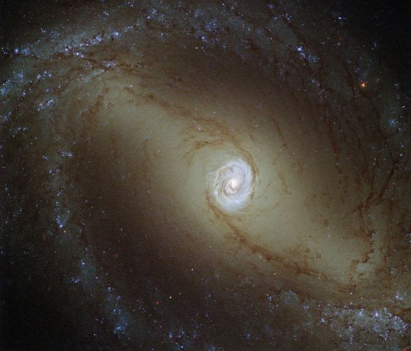 Спиральная галактика NGC 1433 в 32 миллионах световых лет от Земли имеет очень яркий, светящейся центр, который сопоставим по яркости со свечением всего Млечного Пути. Эта галактика очень интересна ученым. Благодаря ей они хотят выяснить, как ведет себя газ вблизи сверхмассивной черной дыры.
