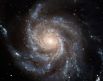 Галактика Вертушка (М101) — спиральная галактика в созвездии Большая Медведица. М101 мы видим плашмя; она очень похожа на наш Млечный Путь, только по размерам несколько крупнее. Галактика обладает ярко выраженными спиральными рукавами и небольшим компактным балджем. 