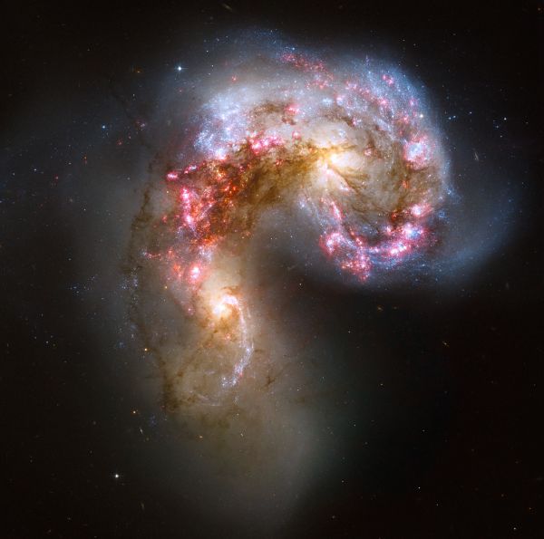 Галактики NGC 4038 и NGC 4039 — пара взаимодействующих галактик, получившая название «Антенны». Обнаружены Уильямом Гершелем в 1785 году. В настоящее время галактики переживают активную фазу звездообразования, в которой столкновение облаков газа и пыли из-за воздействия гравитации вызывает быстрое образование звезд. Взаимное притяжение этих галактик настолько сильное, что в будущем произойдет их столкновение. По прогнозам ученых, столкновение будет длиться 400 млн лет. Ученые пророчат подобное будущее и нашей галактике – Млечному Пути, который столкнется с Андромедой.