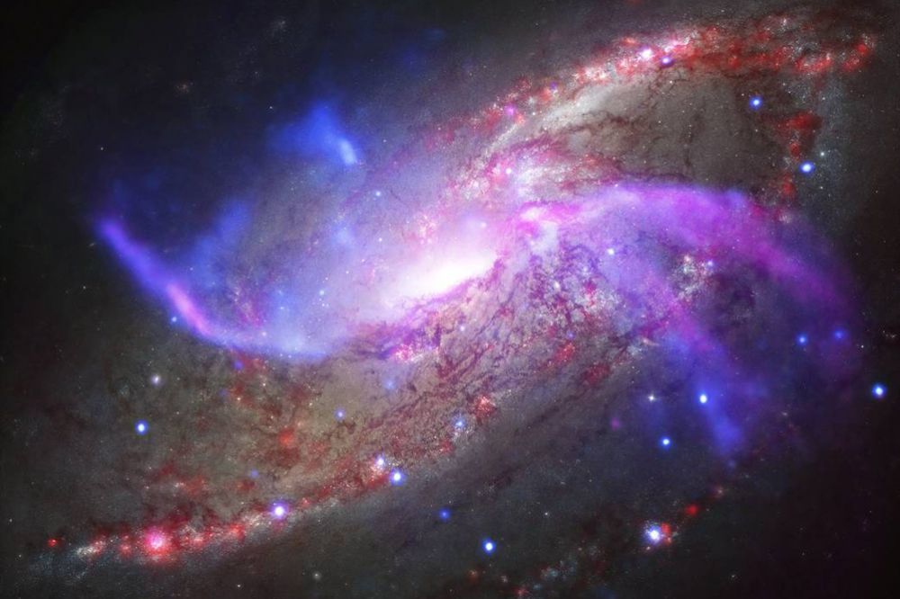Эта красочная спиральная галактика известна как NGC 4258. Своей формой она очень похожа на наш Млечный Путь, хотя и отличается наличием двух дополнительных спиральных рукавов. Ученые отметили, что выброс газа из диска имеет роковые последствия судьбе этой галактики. Исследователи подсчитали, что весь оставшийся газ галактика выбросит в ближайшие 300 миллионов лет, что очень скоро в космических временных масштабах. Это объясняется тем, что сверхмассивная черная дыра в центре NGC 4258, которая примерно в десять раз больше, чем в Млечном Пути, использует газ с более высокой скоростью.