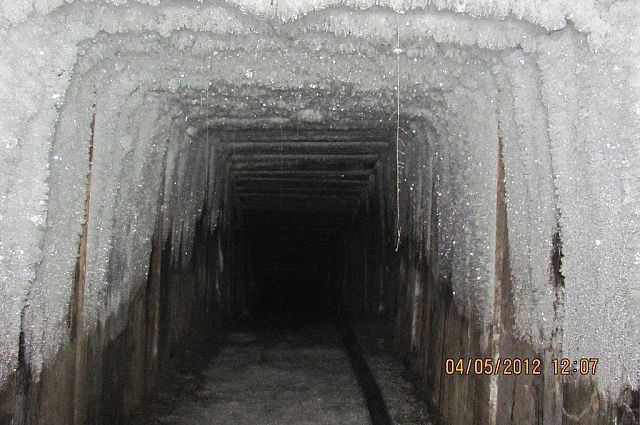 Такие подземные  тоннели преступники преступники прокладывали от нефтепровода.