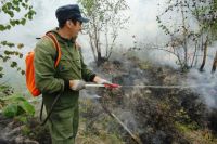 Тушить лесной пожар из распылителя - практически бесполезное дело.