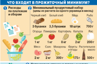 Что входит в прожиточный минимум