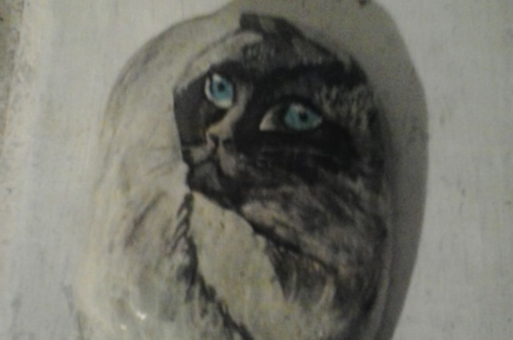 Кошка. Роспись по камню.
