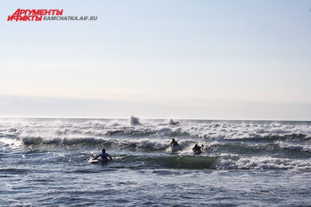 Кататься сёрфингисты приезжают на берег Тихого океана ещё до рассвета, именно в это время волна самая подходящая.