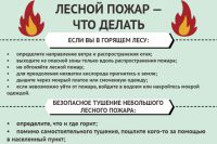 Инфографика лесные пожары