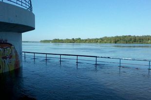 Вода в реке не соответствует нормам качества.