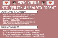 Клещ