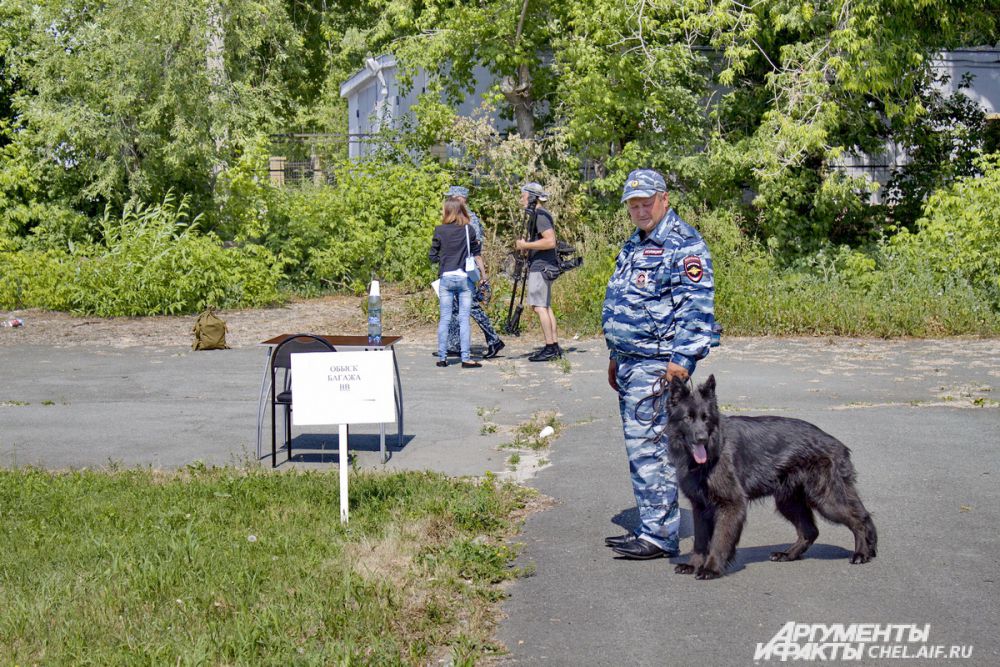 Палящее солнце мешало четвероногим участникам сосредоточиться.