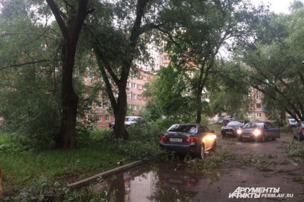 Сломанные ветром деревья валяются во многих районах города