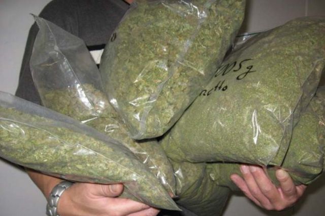 Контрабандист марихуаны законно купить семена конопли