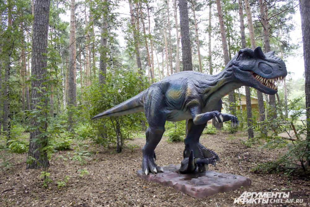 Динозавр Аллозавр – самый крупный и опасный хищник