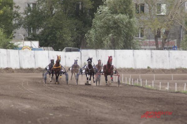 В Омске прошёл конный турнир «Большой сибирский круг».