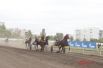 В Омске прошёл конный турнир «Большой сибирский круг».