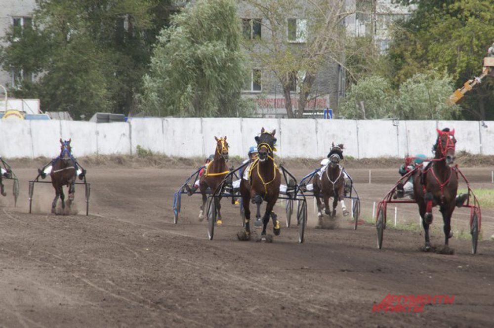 В Омске прошёл конный турнир «Большой сибирский круг».