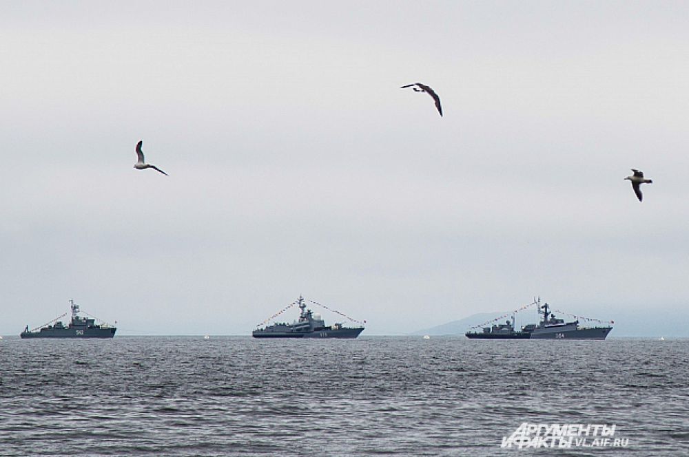 Корабли выстроились в парадном строю на рейде Амурского залива.