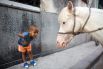 Двухлетний Кармона смотрит на своего «ровесника» — пони Коко. Гавана, Куба, 6 марта.