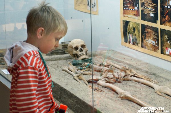 Орденский период представлен почти полностью сохранившимся скелетом молодой знатной женщины лет тридцати, который был обнаружен в могильнике Альт-Велау (недалеко от поселка Знаменск Гвардейского района).