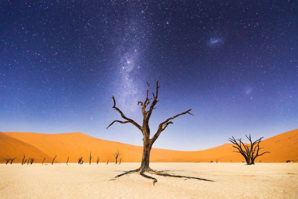Фото знаменитой долины Deadvlei принесло победу фотографу Бету Маккарли. Снимок занял четвертое место в фотоконкурсе National Geographic
