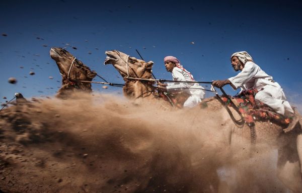  Третье место - фотография, на которой запечатлены верблюжьи бега - Camel Ardah в Омане, которые являются одним из традиционных стилей верблюжьих забегов