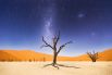 Фото знаменитой долины Deadvlei принесло победу фотографу Бету Маккарли. Снимок занял четвертое место в фотоконкурсе National Geographic