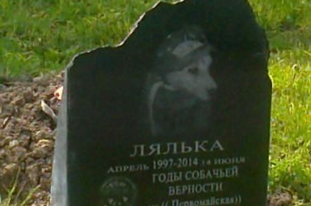 Кузбасс, г. Березовский. Памятник шахтерской собаке Ляльке. Это памятник всем собакам, которые помогали шахтёрам.