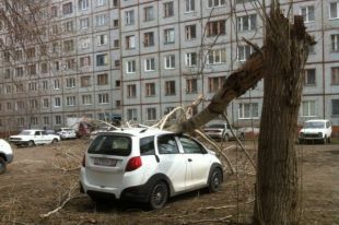 Во время прошлогоднего разгула стихии пострадали и люди, и техника.