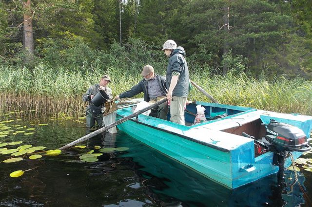 Сотрудники парка отбираю пробы планктона на озере Большое Выгозеро