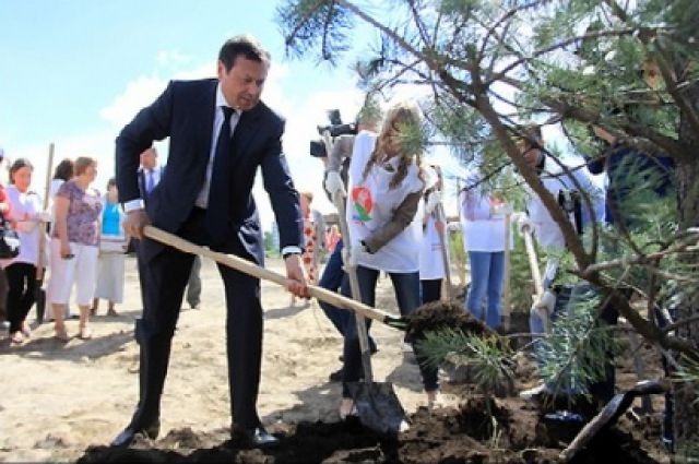 Эдхам Акбулатов сажает деревья.