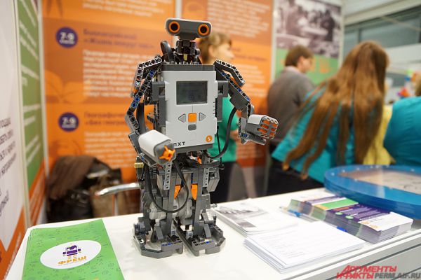 Кружок робототехники при классическом университете набирает талантливых детей в группы.