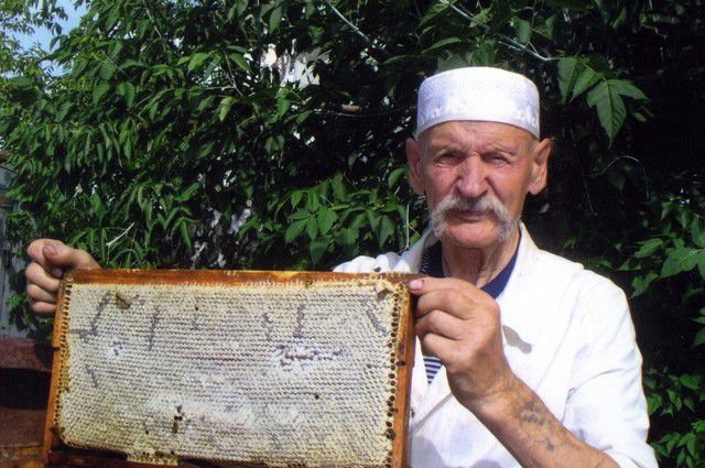 В 91 год Владимир Гончаренко занимается пчеловодством.