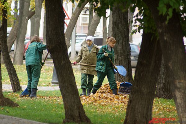 Дворники ежедневно чистят тротуары от многочисленной листвы.