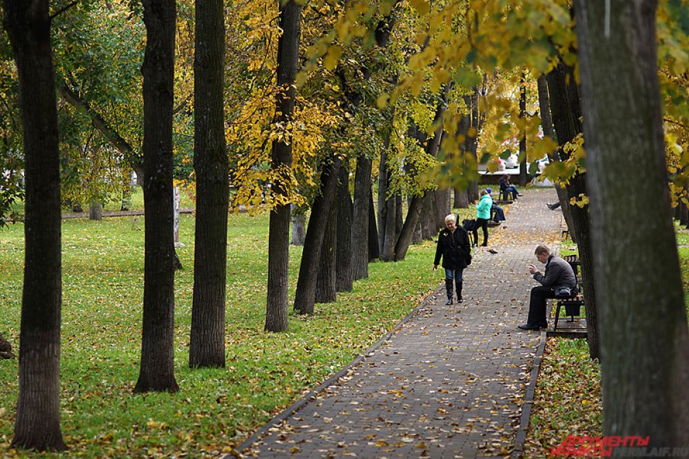 Однако золотистая листва в скверах и парках города все же радует пермяков.