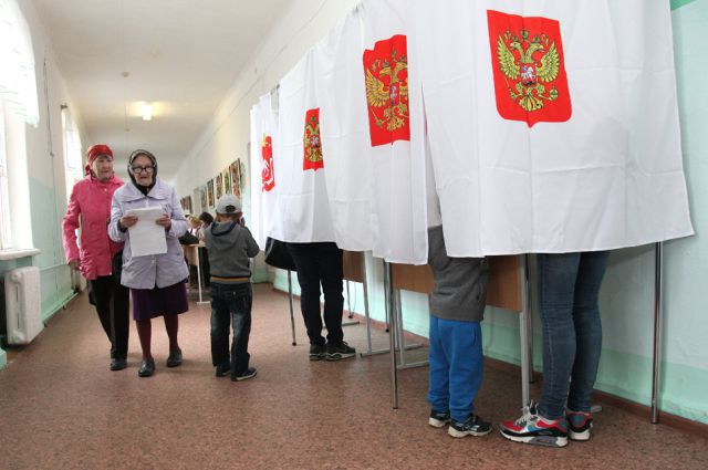 На выборы в Красноярском крае пришли около 30% избирателей