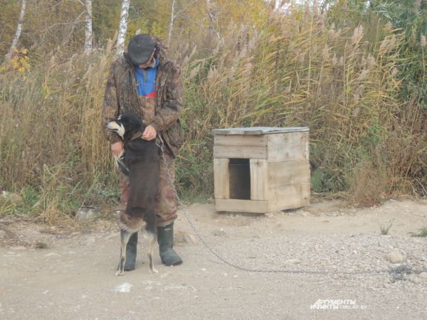 На озере Синеглазово живет самый верный пес в мире.
