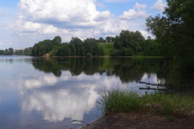 В Омской области арендовали землю под озером.