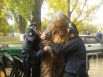 В Одессе задержали Чубакку