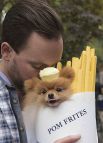 Собака в костюме картошки-фри.