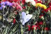 Цветы у подножия скульптуры Архангела Михаила на площади у Свято-Преображенского кафедрального собора в Донецке.